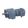 RF Serie Model Helical Geared Motor