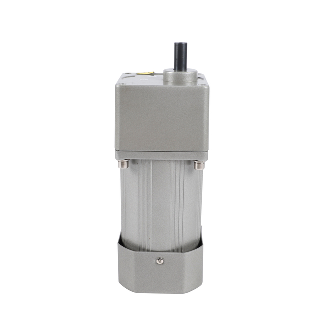 220V 400W 750W Micro AC Parallel Shaft Gear Motor