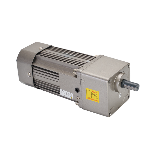 180W~370W 104mm AC Gear Motor