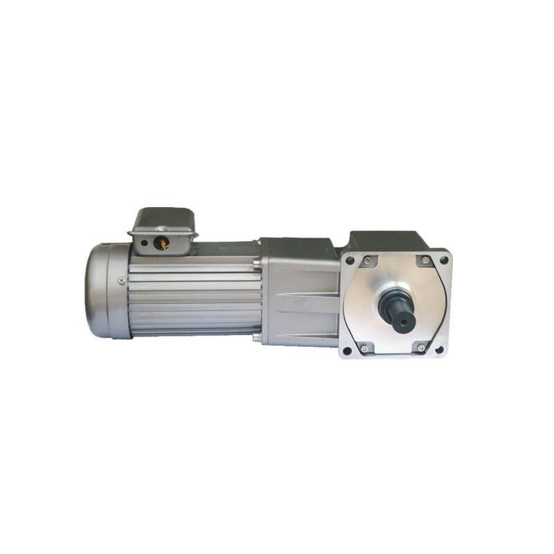 Hollow Solid Right Angle Gear Motors