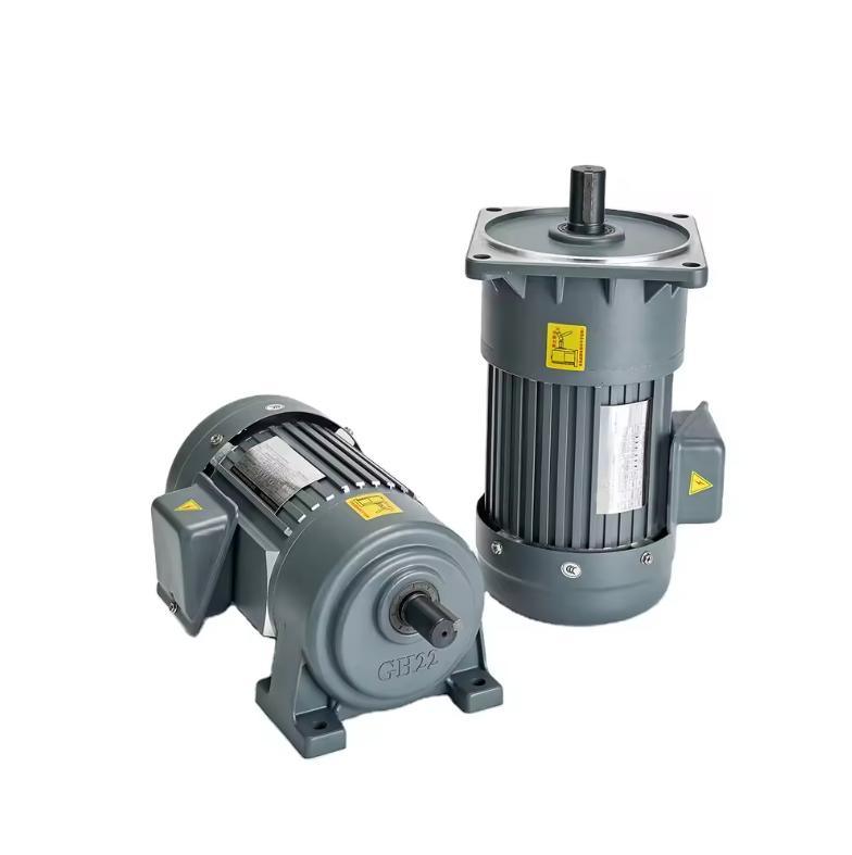 Vertical Small AC Gear Reduction Motor