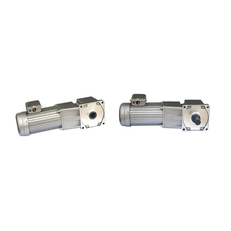 Hollow Solid Right Angle Gear Motors