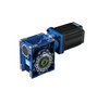 High Performance 200W 300W Brushless DC Worm Gear Motor 