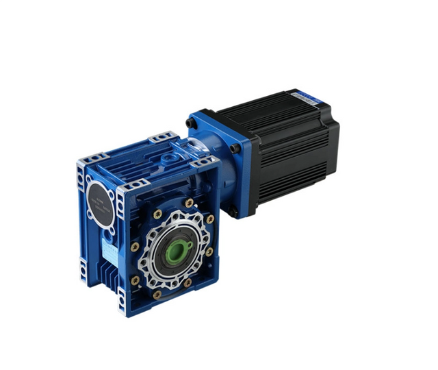 High Performance 200W 300W Brushless DC Worm Gear Motor 