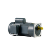 Vertical Small AC Gear Reduction Motor