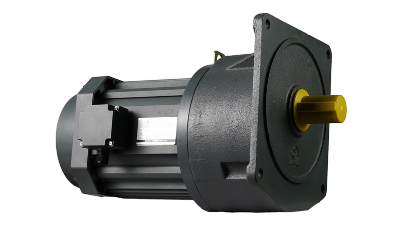 100W 750W 3000W High Torque Small AC Gear Motor