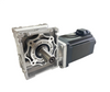 High Performance 200W 300W Brushless DC Worm Gear Motor 