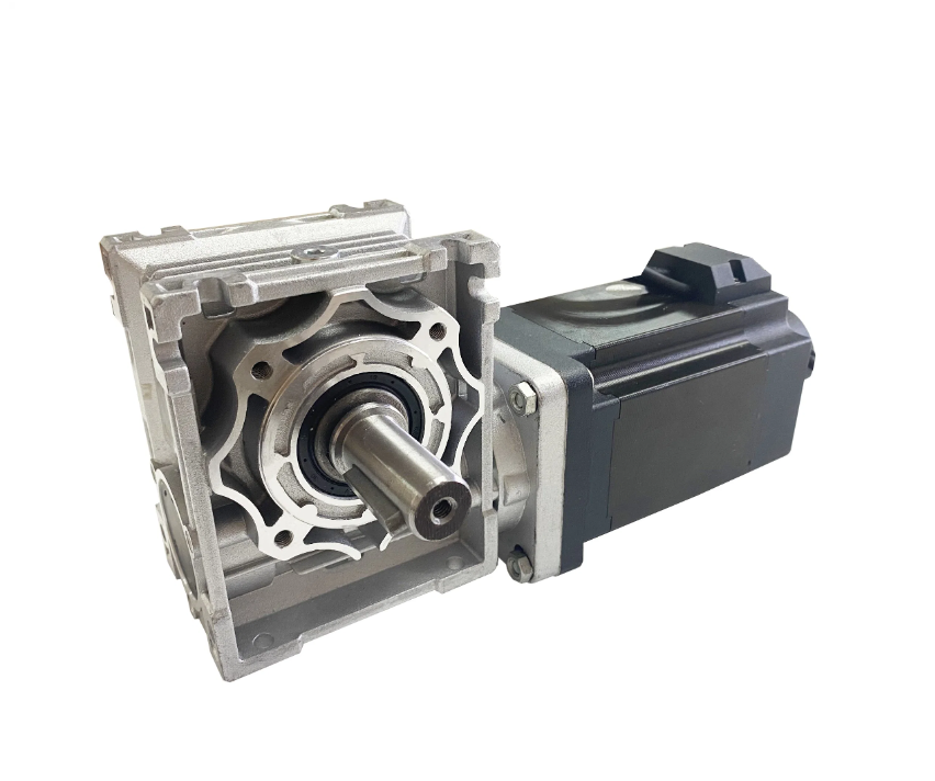 High Performance 200W 300W Brushless DC Worm Gear Motor 