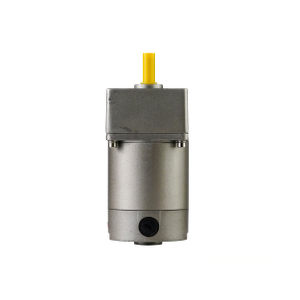 High-Performance 6W~40W 60mm Electric DC Gear Motor for Industrial Use