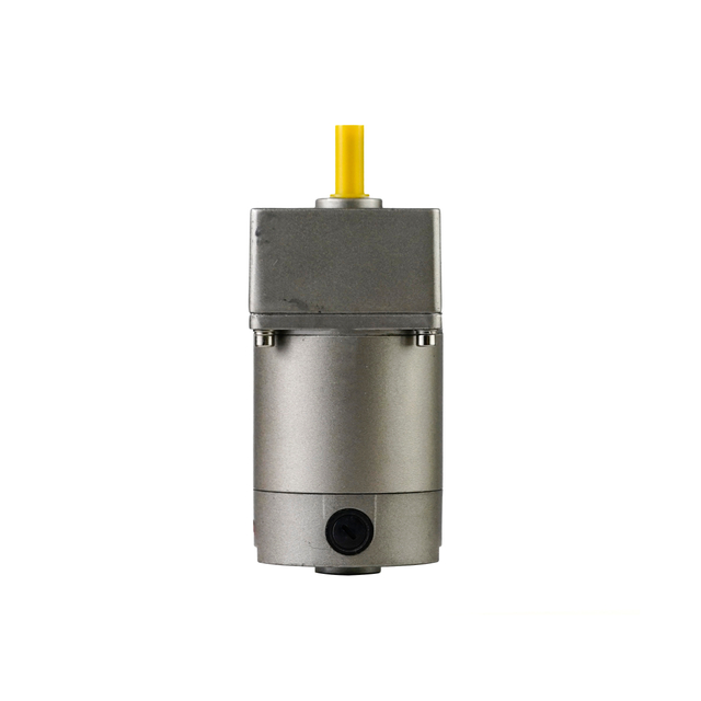 High-Performance 6W~40W 60mm Electric DC Gear Motor for Industrial Use