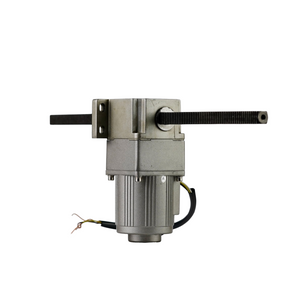 Electric AC Gear Motor Linear Type Gear Head Motor with Vertical Gear Box