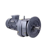 High Torque R Series Inline Helical AC Gear Motor 