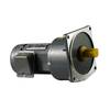 Vertical Small AC Gear Reduction Motor