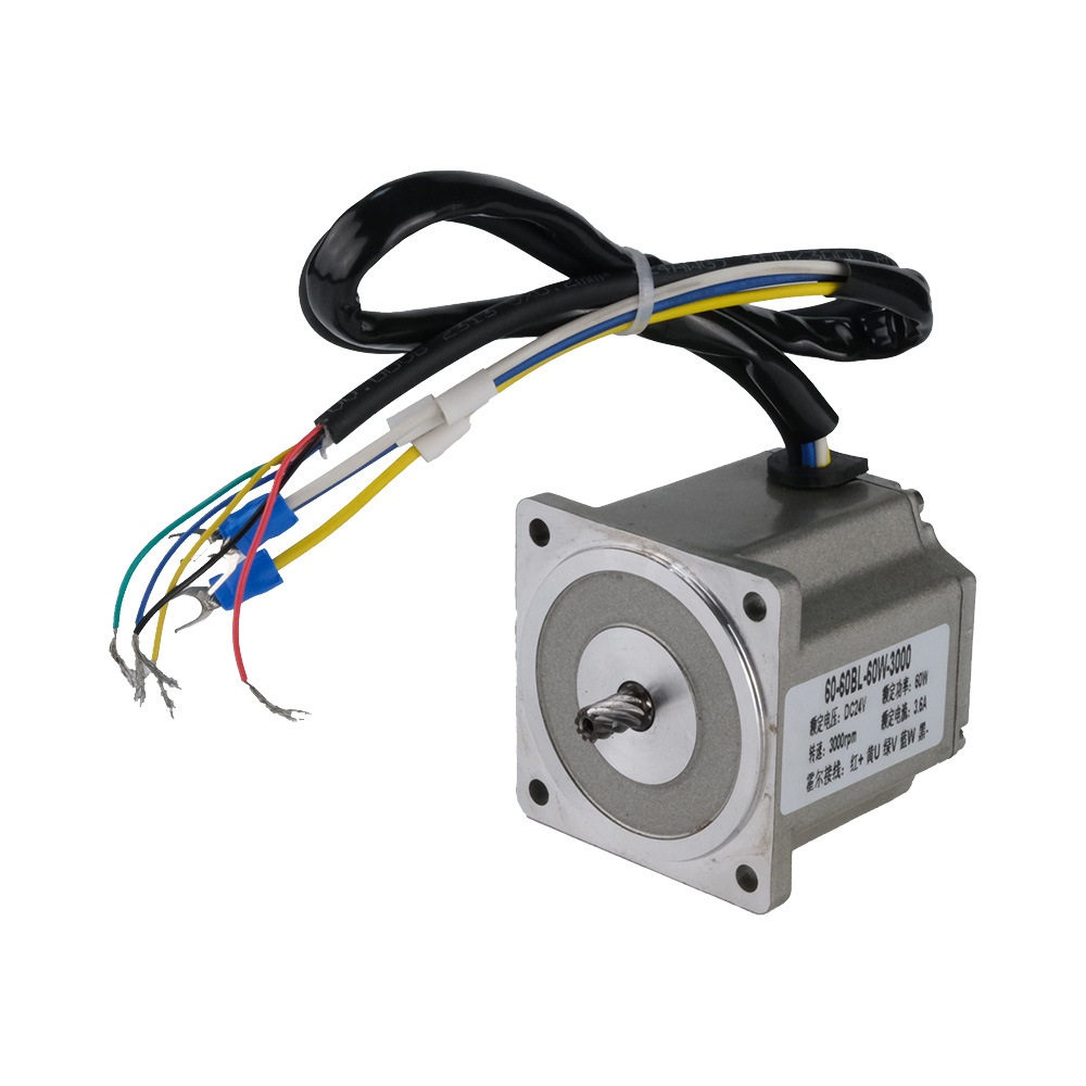 Brushless DC Motor