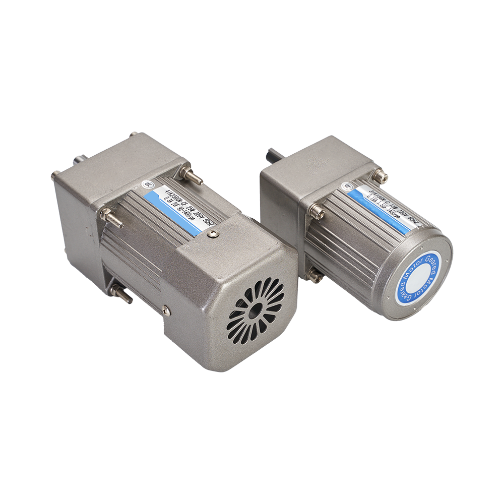 6W~25W AC Gear Motor