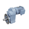 FF Serie Model Helical Parallel Shaft Gear Motor