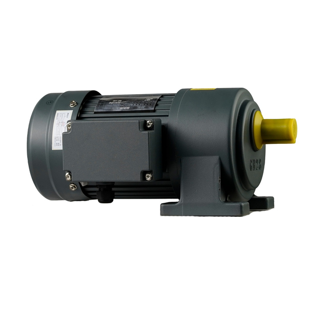 Horizontal Small AC Gear Reduction Motor