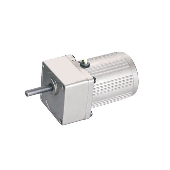 6W 60mm AC Gear Motor