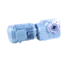 S Series Industry Helical Worm Geared Motor AC Gear Motor