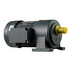 Horizontal Small AC Gear Reduction Motor