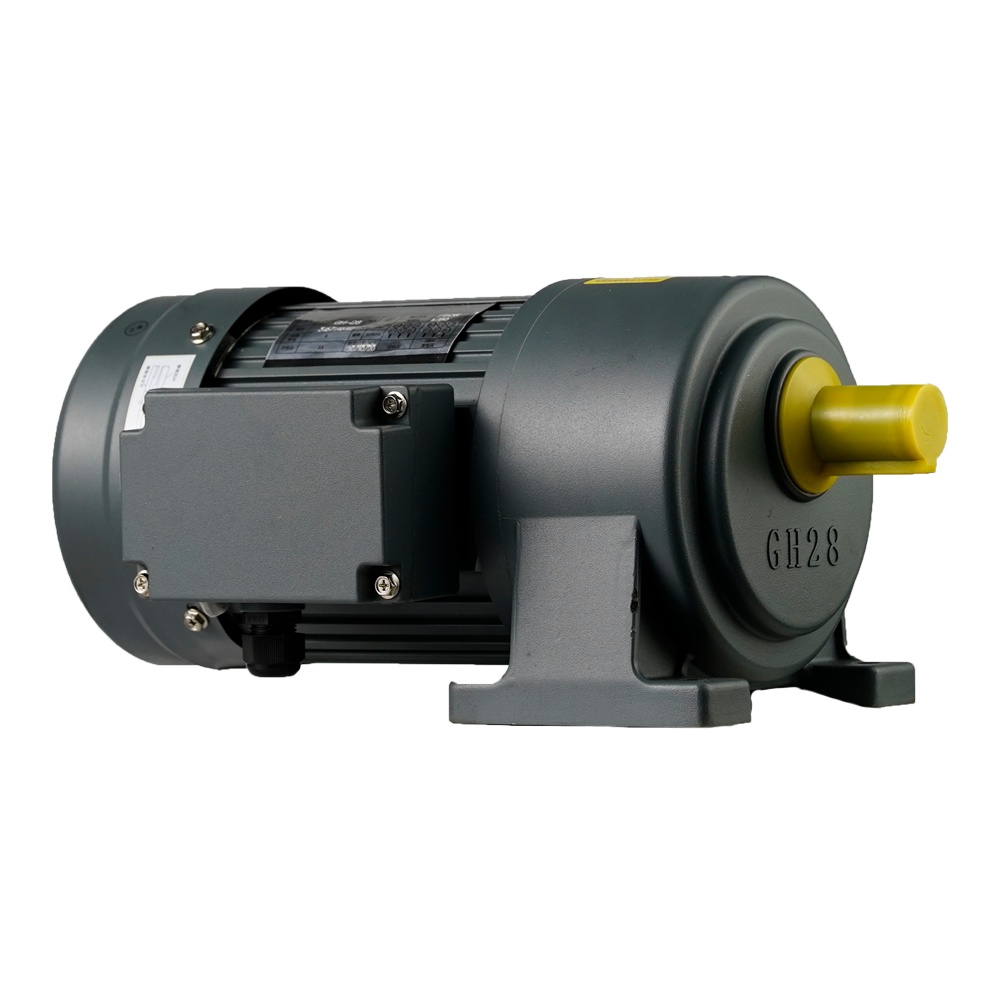 Horizontal Small AC Gear Reduction Motor